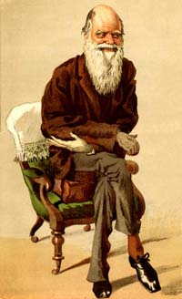 Darwin'in 1871'de çizilmiş bir karikatürü.